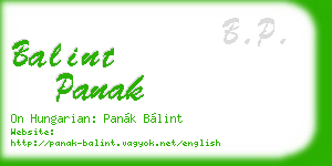 balint panak business card